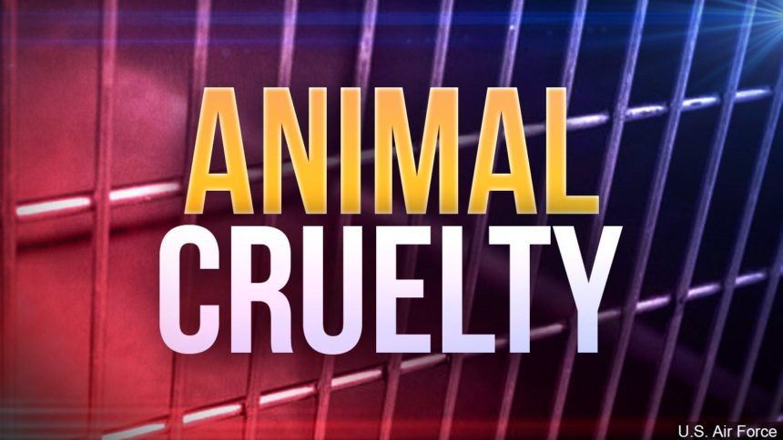 Animal cruelty graphic