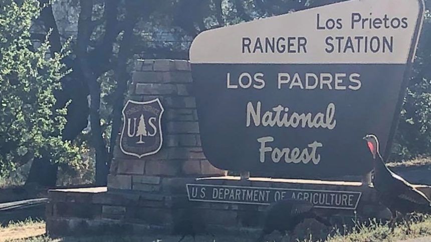 los padres national forest sign