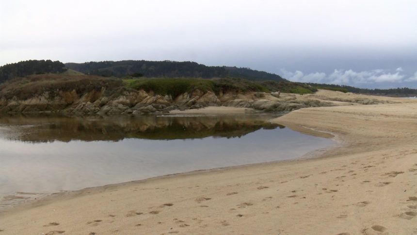 New details emerge over Carmel River State Beach tragedy