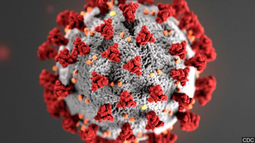 coronavirus