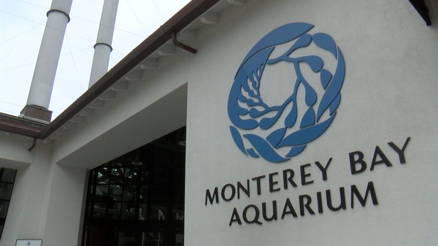Aquarium delays its reopening