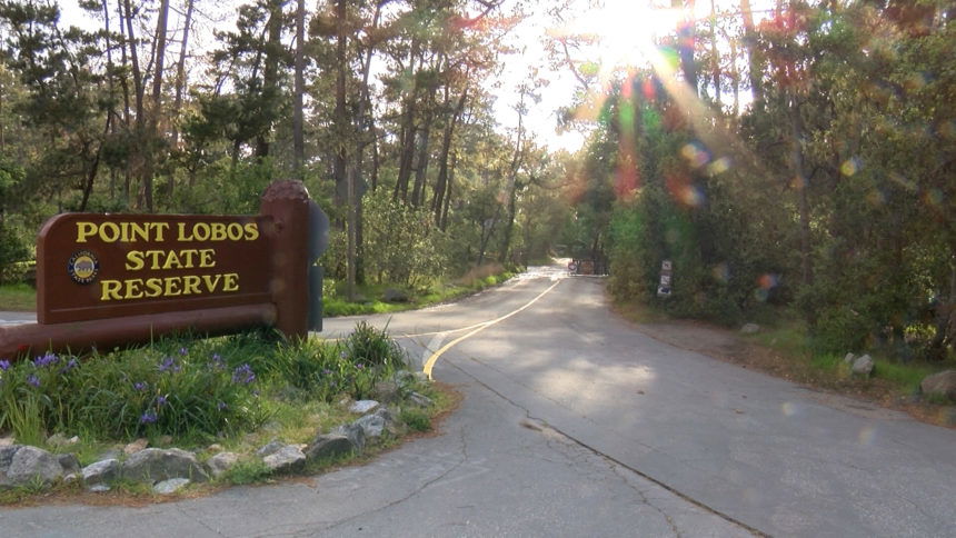 Point Lobos, Pfeiffer Big Sur among parks now closed until at least May 3rd