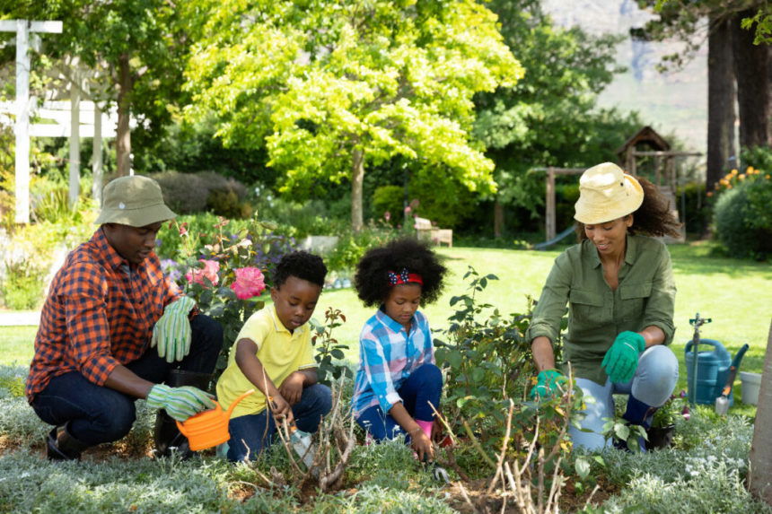 Victory Gardening