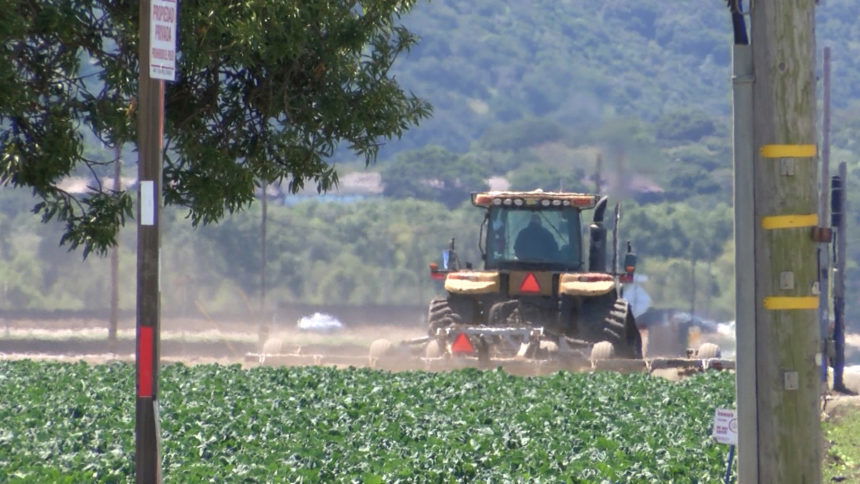 farm crops