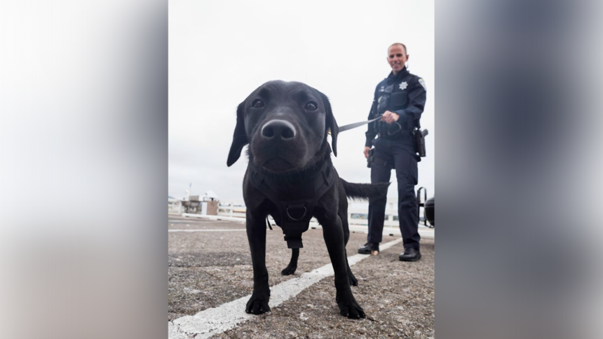 k9 parker santa cruz officer