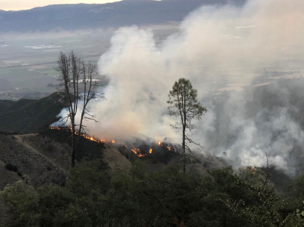 Pine Canyon Lighning Strike Fire