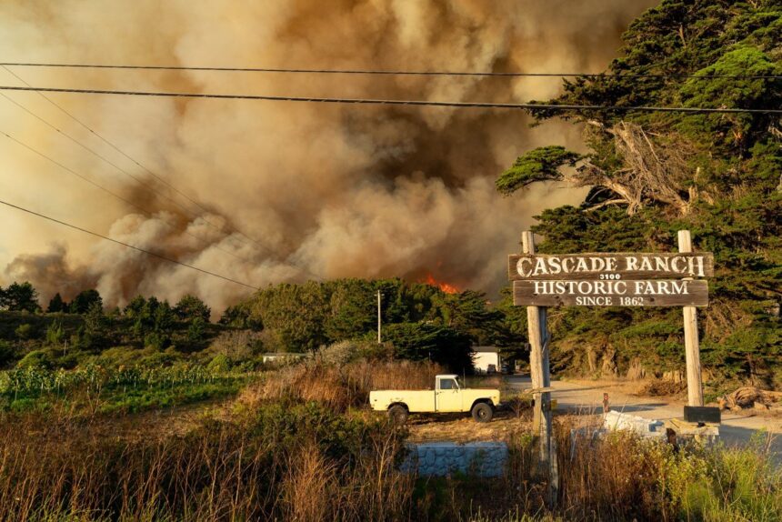 cal fire czu august lightning