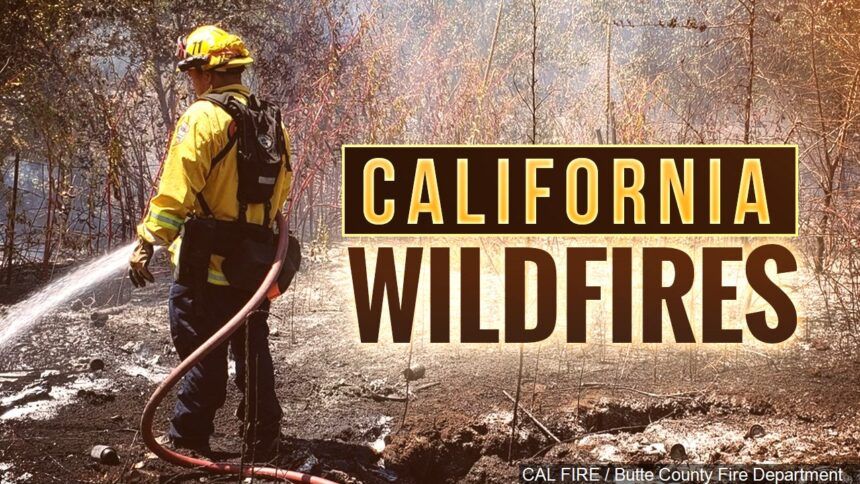 california wildfires mgn