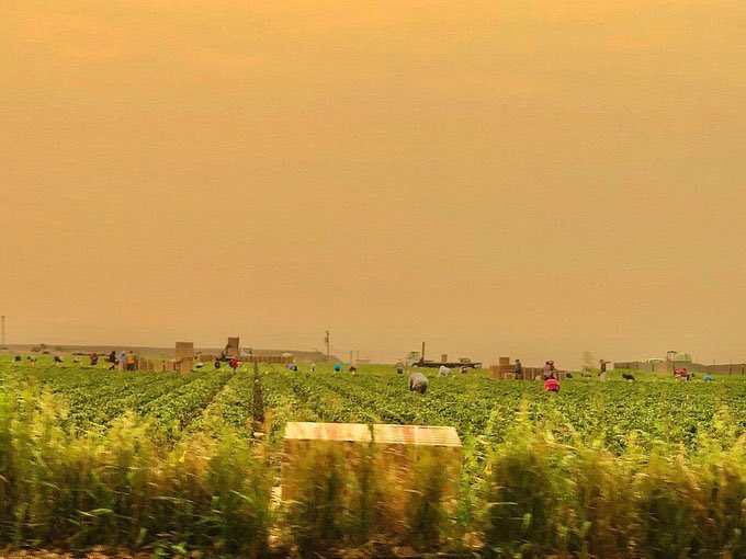 farm workers during wildfire alejo