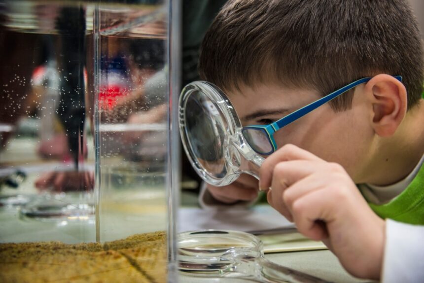 Students from all 50 states enroll in Monterey Bay Aquarium's free