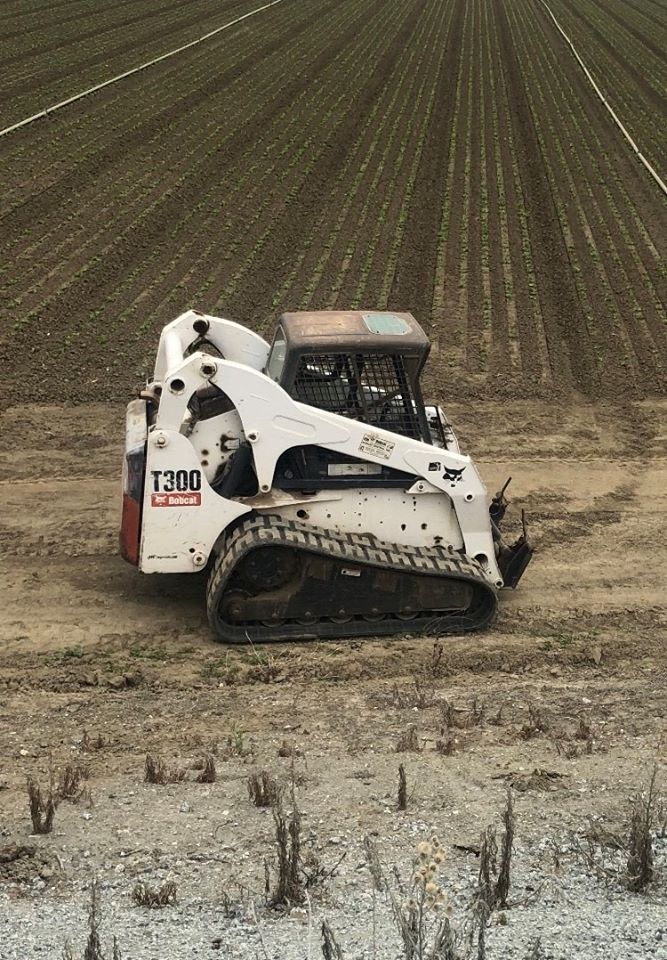 stolen bobcat watsonville