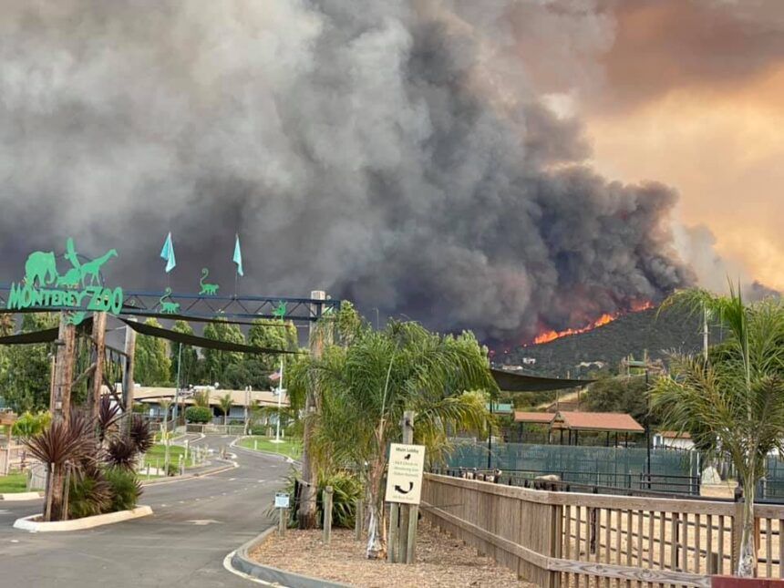 Monterey Zoo Keeping Fingers Crossed As River Fire Burns Close To Property Kion546