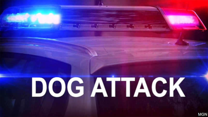 DOG ATTACK GRAPHIC