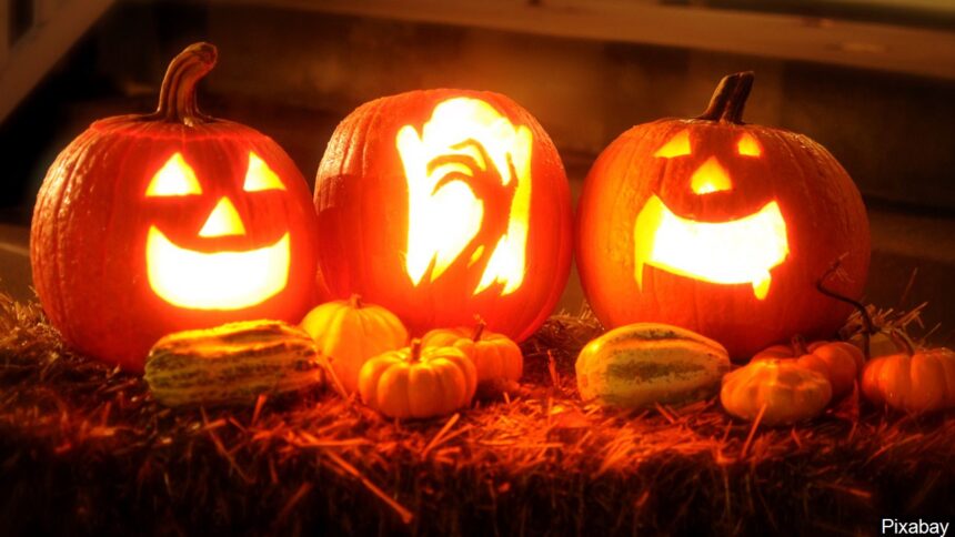 halloween pumpkin carving jack o lantern