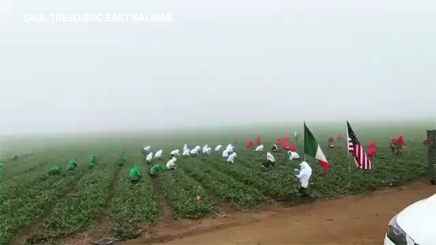 human flag 101 and chualar
