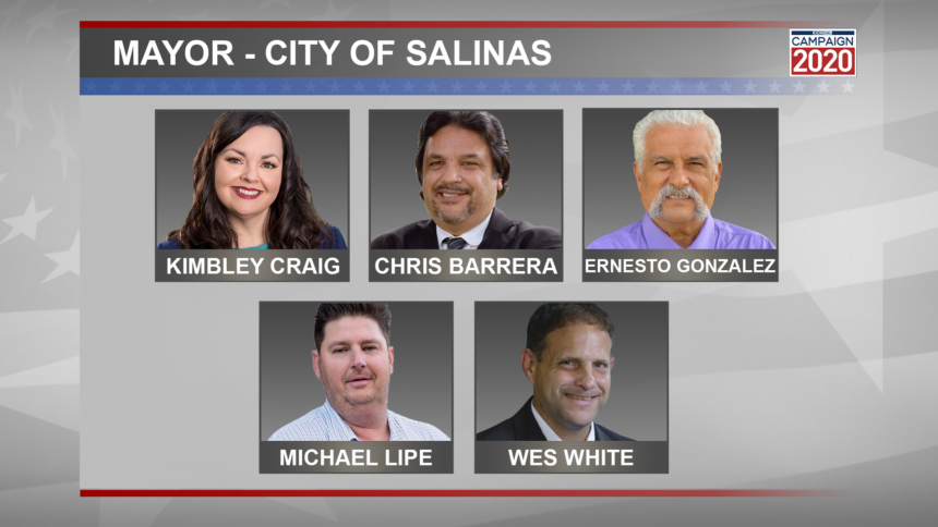 SALINAS-MAYOR-VOGFX