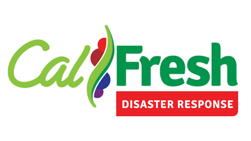 cal fresh disaster response sized