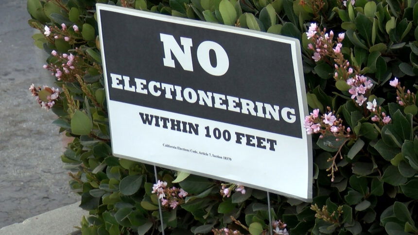 ElectioneeringPIC