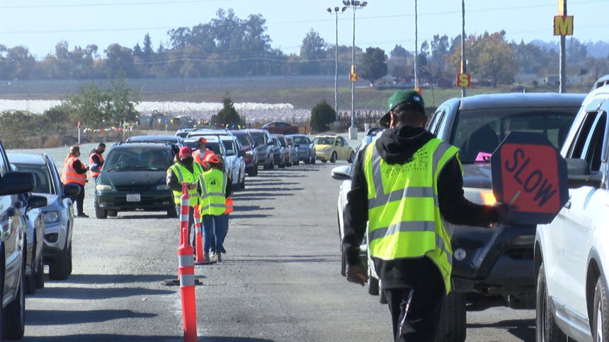 Lines at food distribution in Watsonville