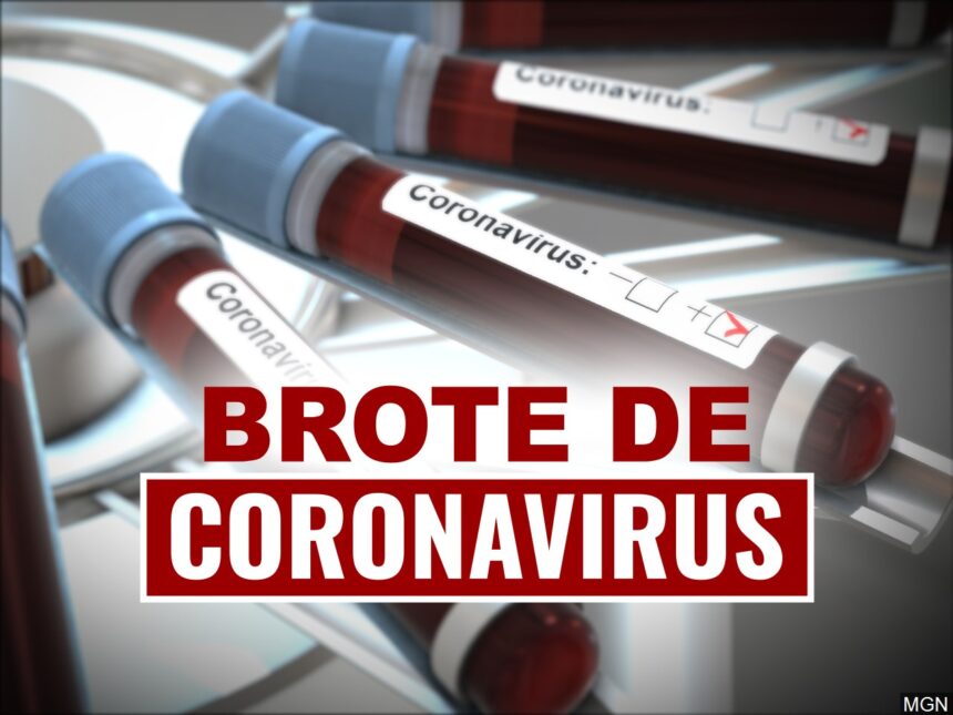 brote de coronavirus