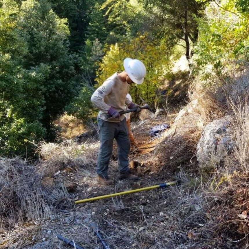 los padres reopening prep 2