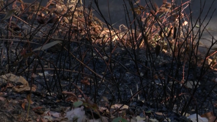 santa cruz county burn scar