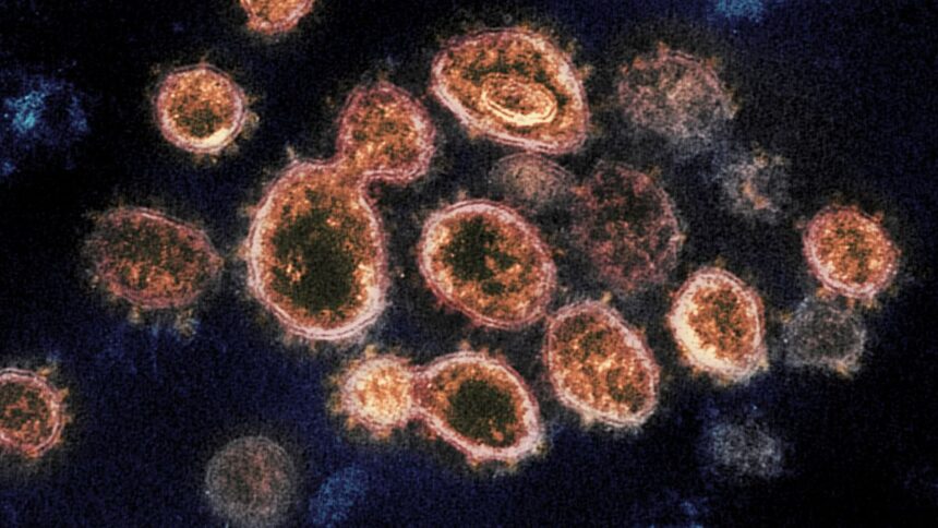 https___cdn.cnn_.com_cnnnext_dam_assets_210128134323-novel-coronavirus-sars-cov-2