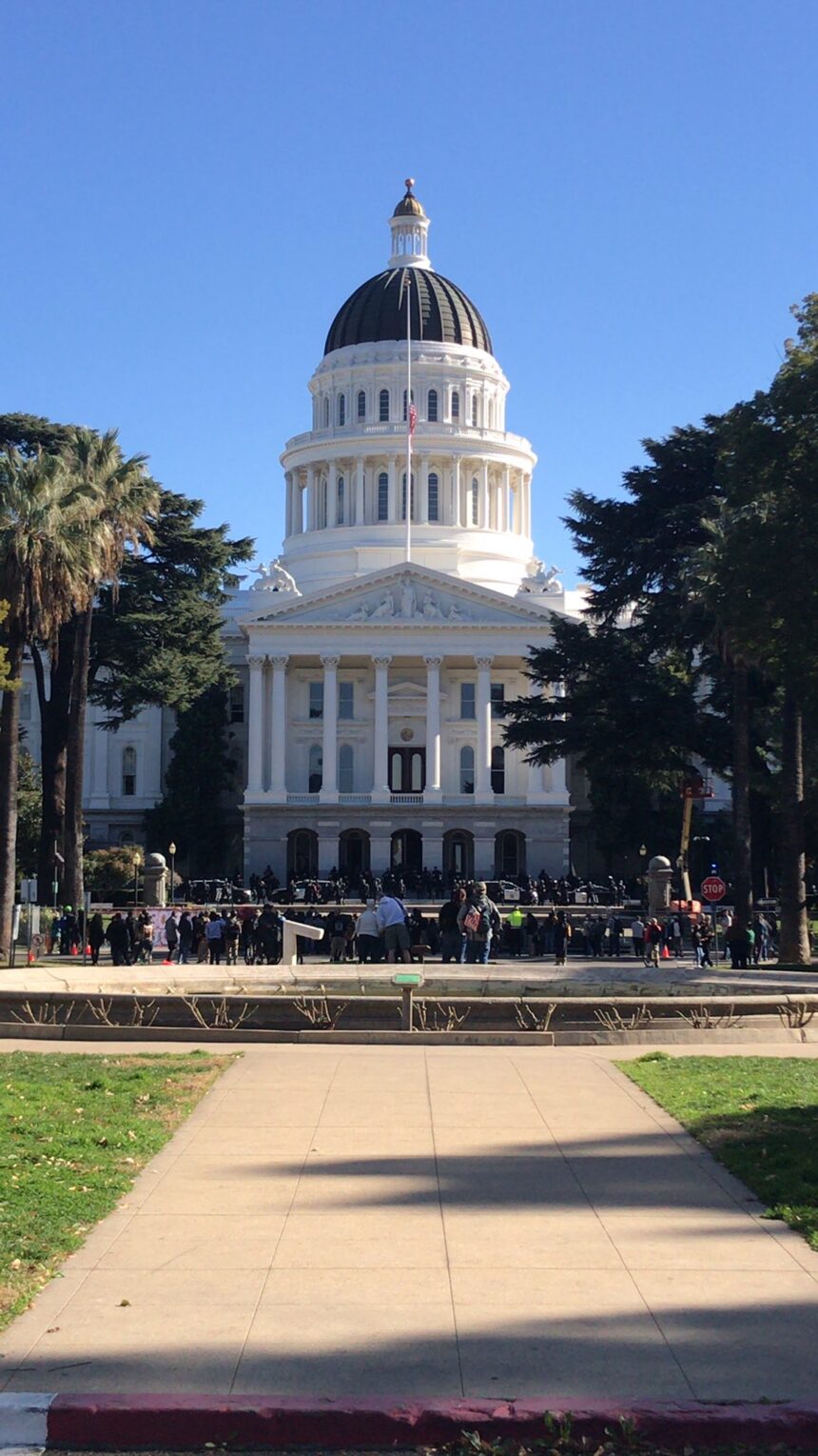 rachel wulff sacramento inauguration protest