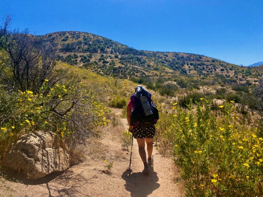 Diane Delucchi making her way through the Pacific Crest Trail.