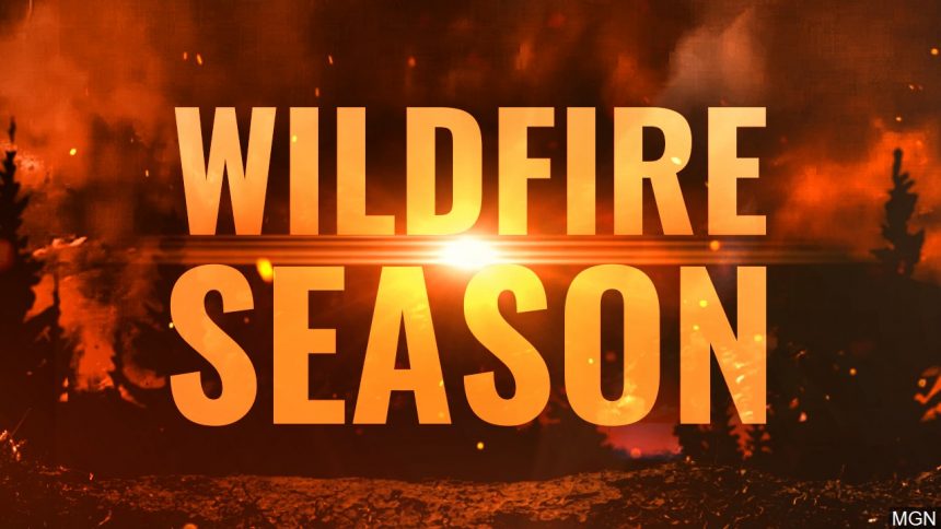 wildfire season