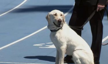 One of the 10 New York Police Department  K-9 graduates is shown at a June 16 ceremony. Each K-9 is named after a fallen officer.