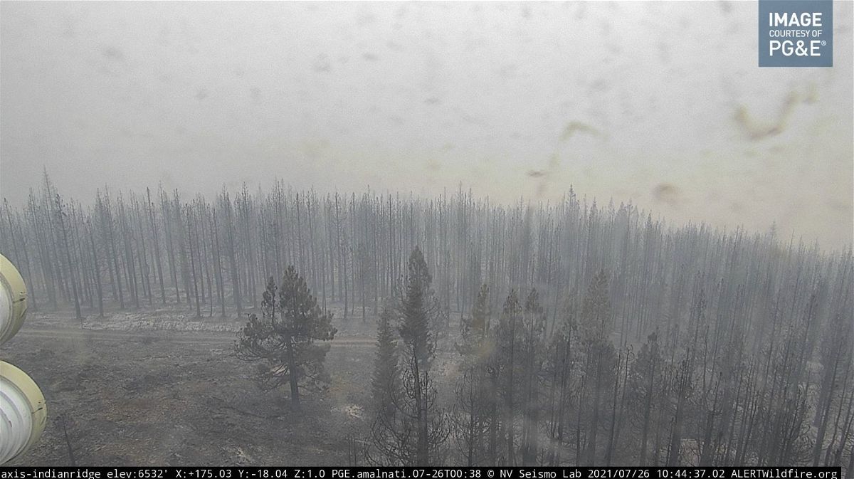 Image of the burnt trees surround our Indian Ridge camera after its burnover on Saturday of the Dixie Fire