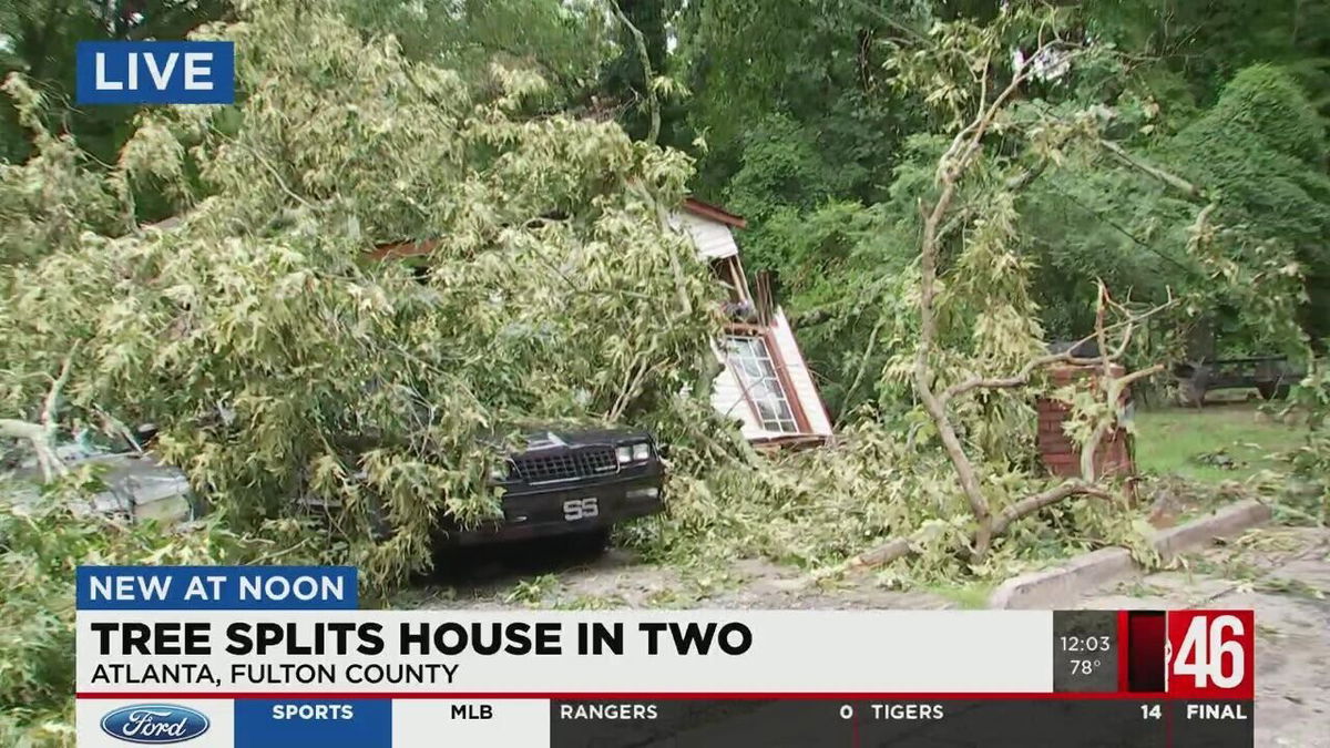 <i>WGCL</i><br/>A huge tree came crashing down
