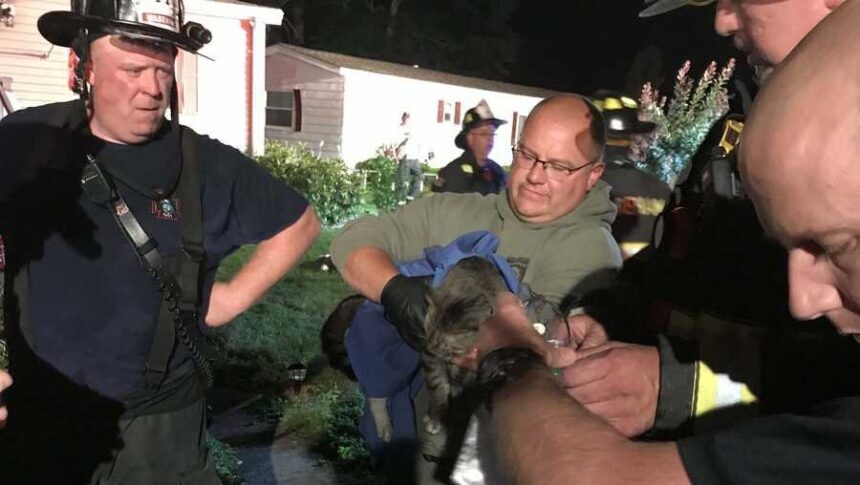 <i>Wareham Fire Department/WCVB</i><br/>Wareham