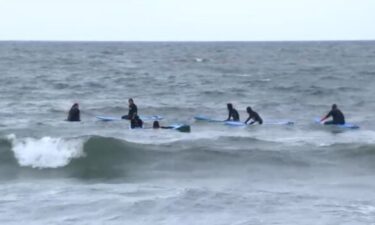 Not even shark sightings near Long Island