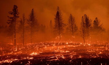 Embers blow across a field as the Sugar Fire