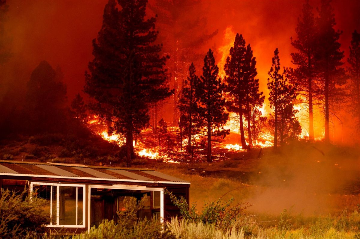 <i>Noah Berger/AP</i><br/>The Tamarack Fire burns in Alpine County