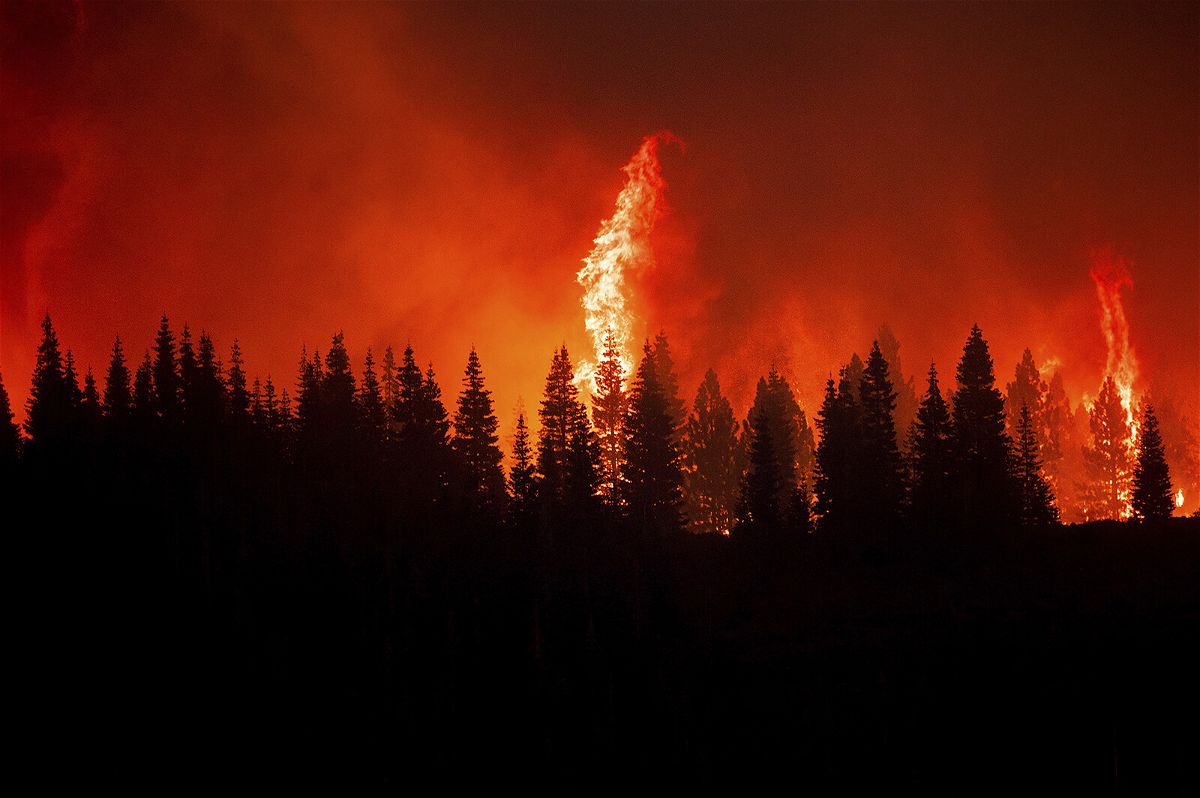 <i>Noah Berger/AP</i><br/>Flames from the Dixie Fire crest a hill in Lassen National Forest.