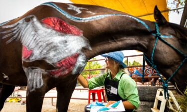 Missoula native and artist Claire Emery finishes painting and touching up an outline of an osprey on Mystery's chest.