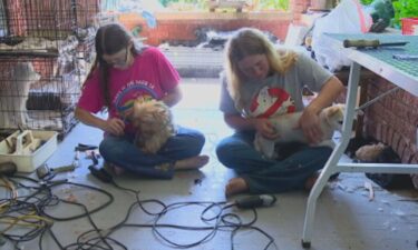 Pam's Pet Center is still grooming on Christy Welch's front porch.