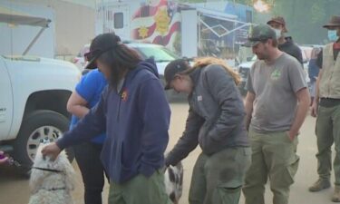 Volunteers show up to base camp every morning for two hours