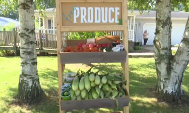 11-year-old girl grows tomatoes