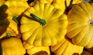 The Heritage Seed Library works to conserve rare vegetable varieties and the Summer Sun squash is in no need of conservation and these "succulent