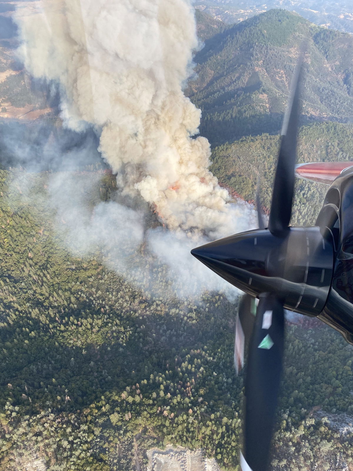 Numerous ground and air resources were at the scene of the #FawnFire which was visible from Interstate 5 and the Fawndale Rd exit. 