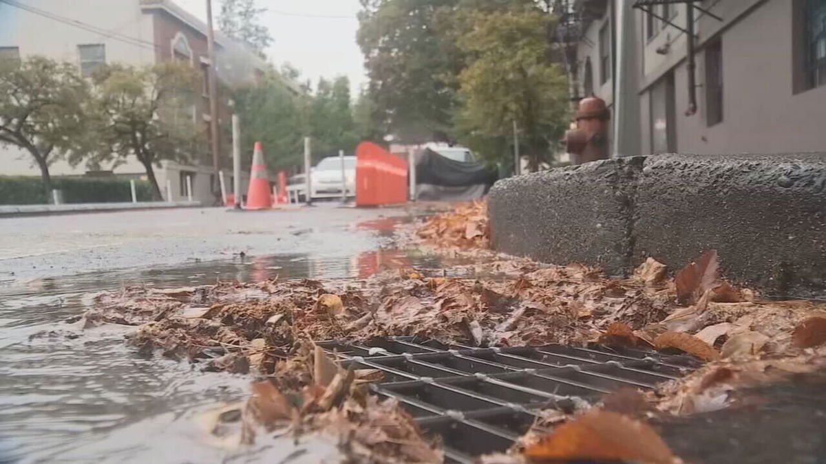 <i>KPTV</i><br/>PBOT is asking people to adopt a storm drain. They say that means locating a storm drain near your home and business and regularly checking on it to make sure that it is clear of leaves and debris.