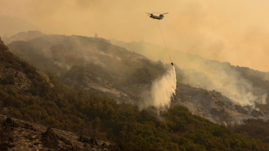 https___cdn.cnn_.com_cnnnext_dam_assets_210922030433-03-knp-complex-fire-sequoia-national-park-california-09-18-2021