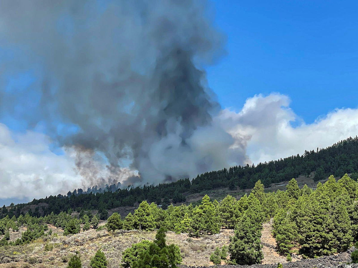 <i>Borja Suarez/Reuters</i><br/>Volcano erupts on Spanish island of La Palma