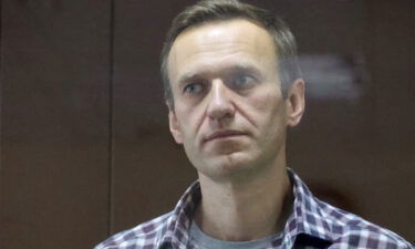 Russian opposition activist Alexey Navalny