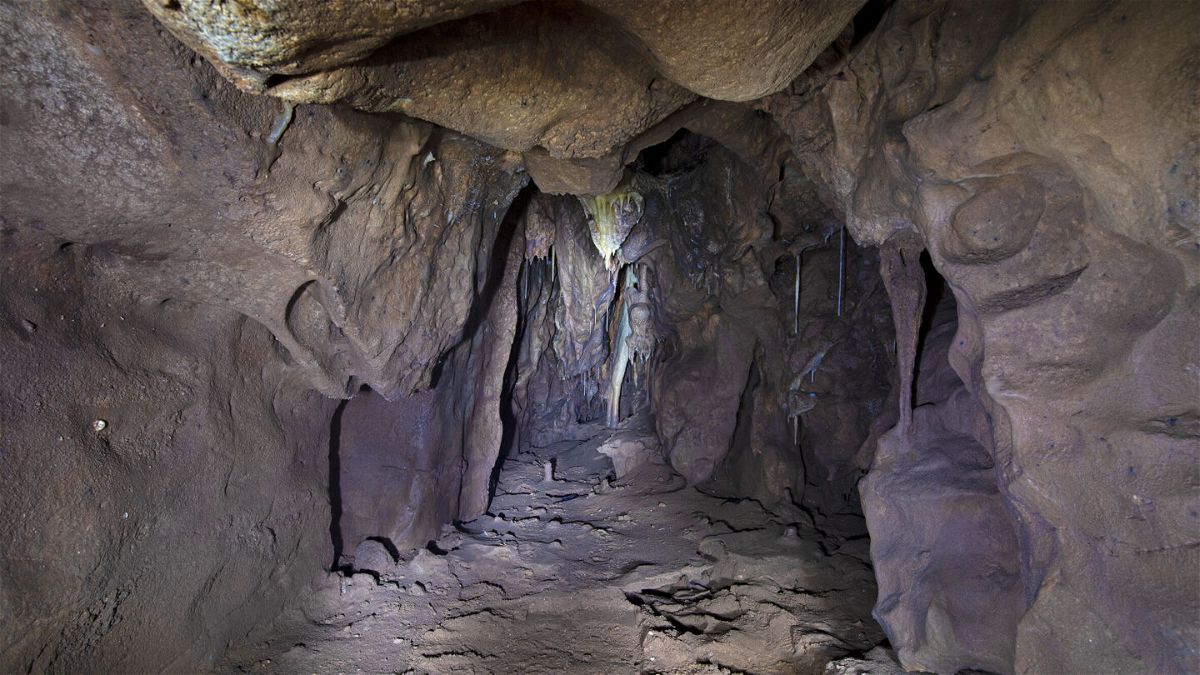 <i>Courtesy Gibraltar National Museum</i><br/>A 13-meter chamber in Gibraltar's Vanguard Cave