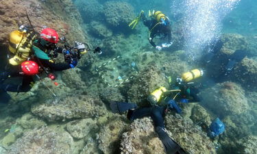 Archaeologists will carry out further excavations at the site in the next few weeks.